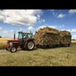 Nicolaj91