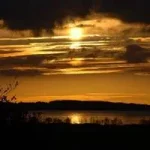 fenger.michael@gmail.com