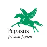 Pegasus El-scooter