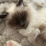 Emma S.