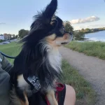 Sammy F.