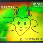 Maggie & 3R KaninInternat