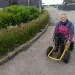 susan Pedersen
