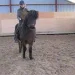 MF Hansen