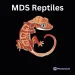 MDS Reptiles