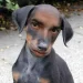 nala12