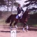 arngren