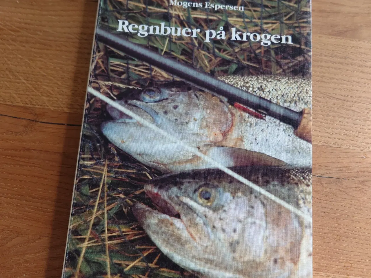 Billede 1 - Regnbuer på krogen – Mogens Espersen