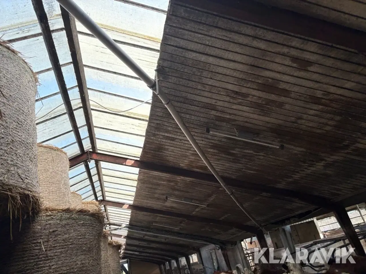 Billede 4 - Fodersnegl