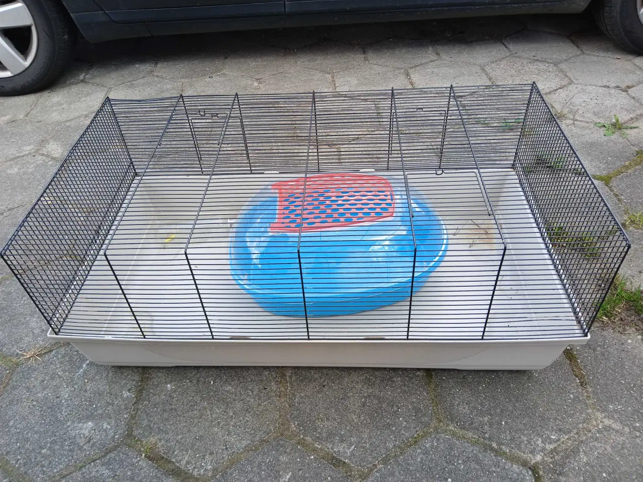 Billede 2 - Marsvin / kaninbur