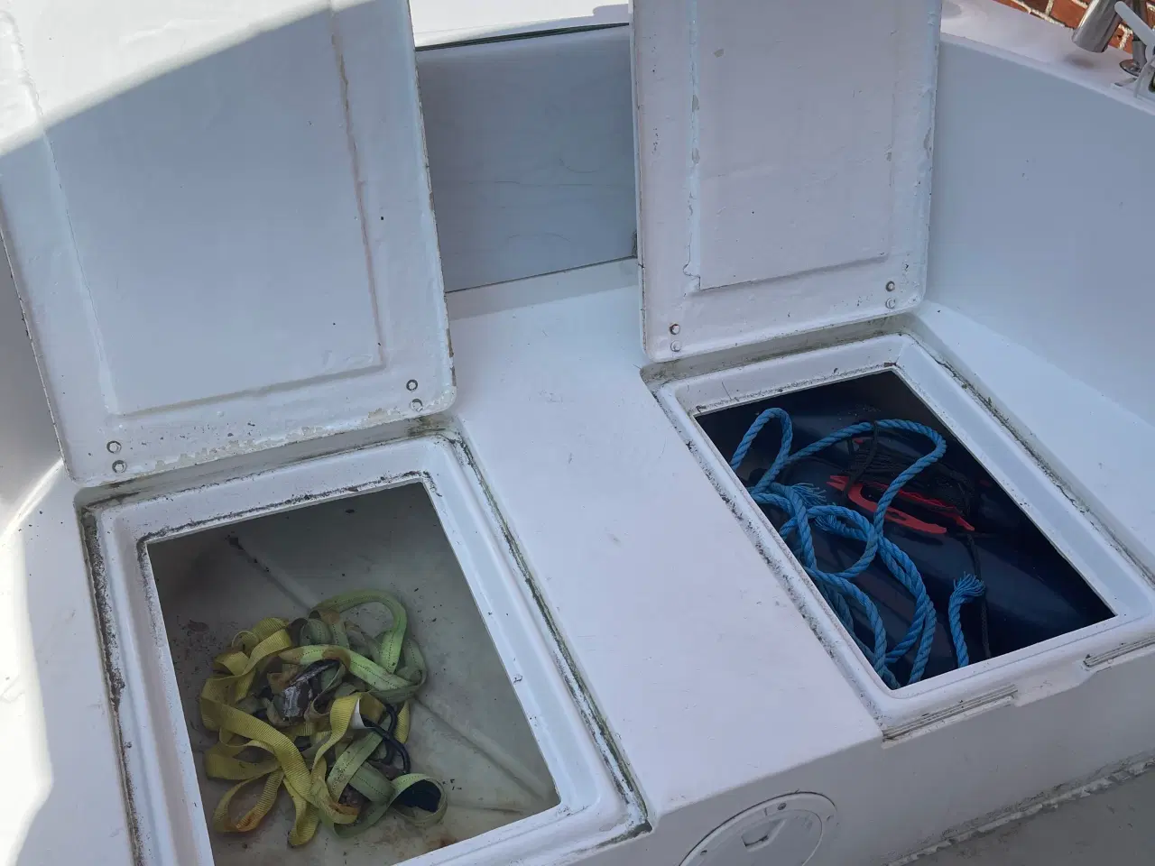 Billede 5 - Proline 190  bud modtaget 