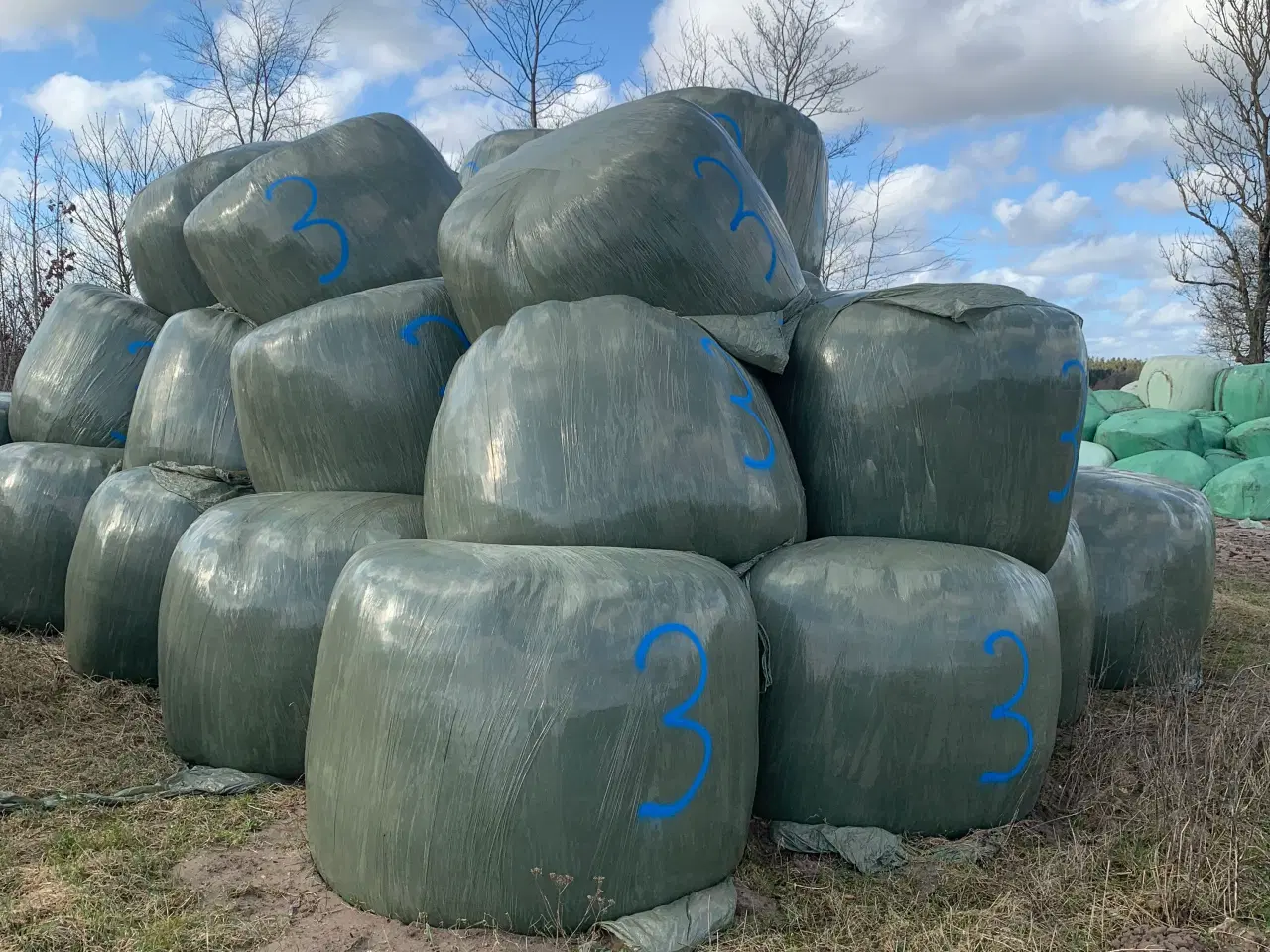 Billede 2 - Wrap fra 2025 