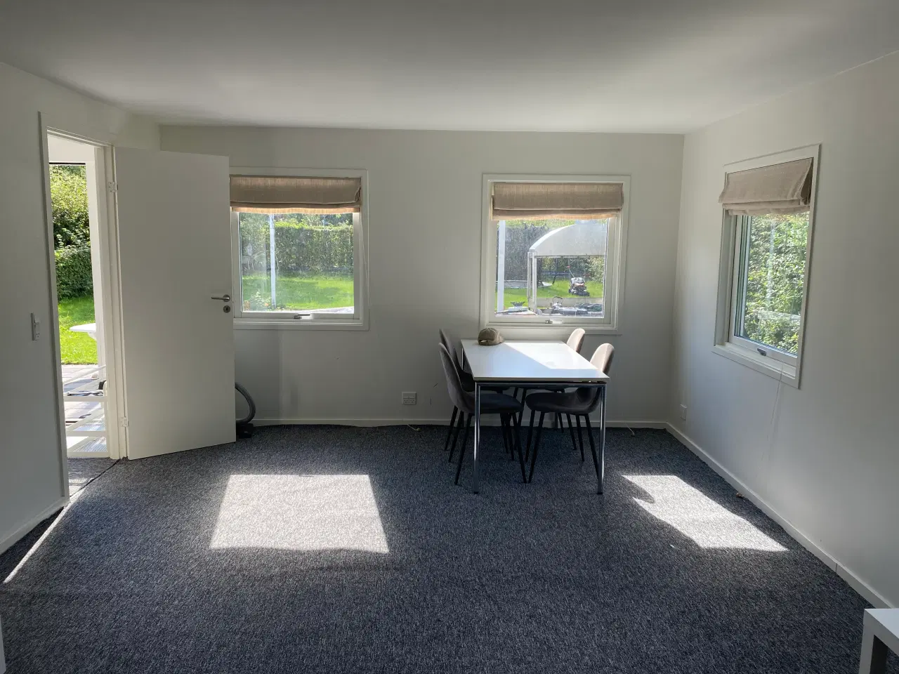 Billede 5 - Odenses hyggeligste kolonihave til salg 🌿