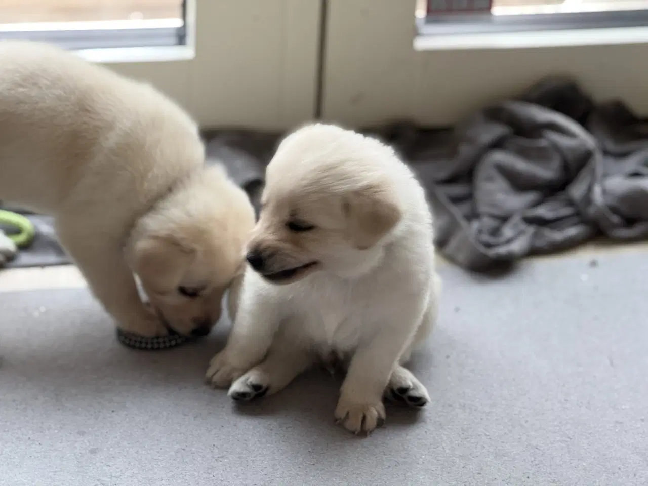 Billede 2 - Mangler du en blød julegave 