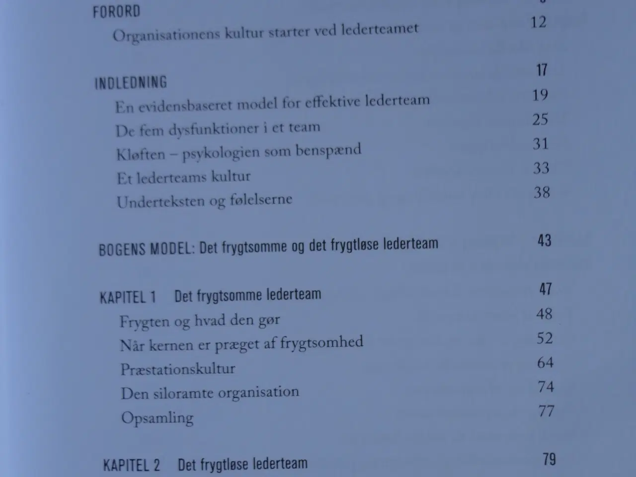 Billede 2 - Det Frygtløse Lederteam  :