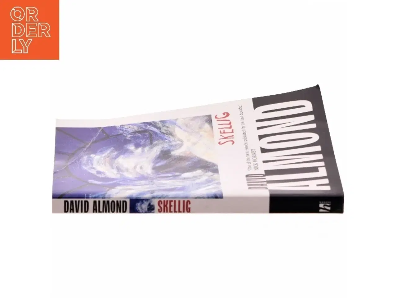 Billede 2 - Skellig af David Almond (Bog)