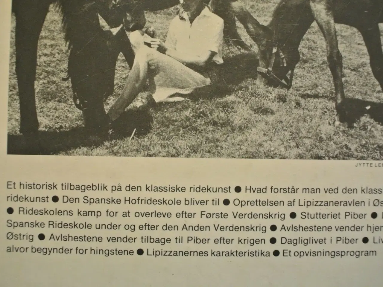 Billede 3 - lipizzanerne. den spanske rideskole i wien, af jyt