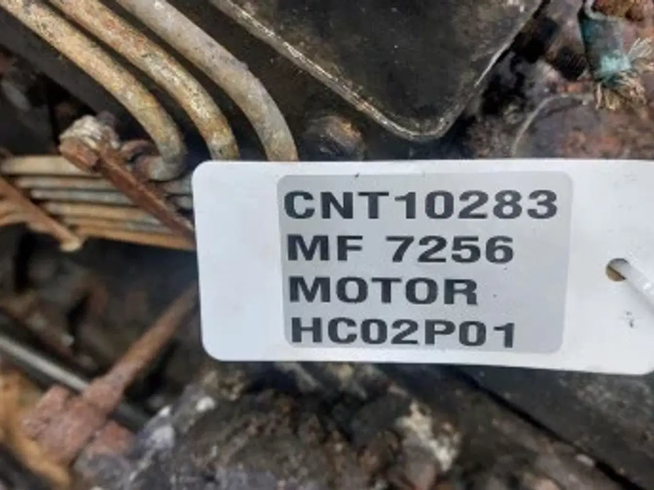 Billede 16 - Massey Ferguson 7256 Motor