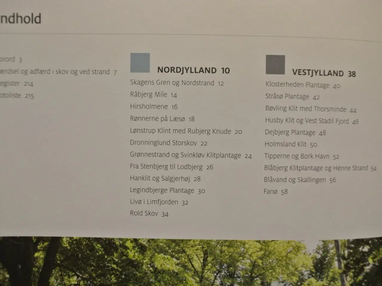 Billede 2 - skov og strand i danmark, af søren olsen