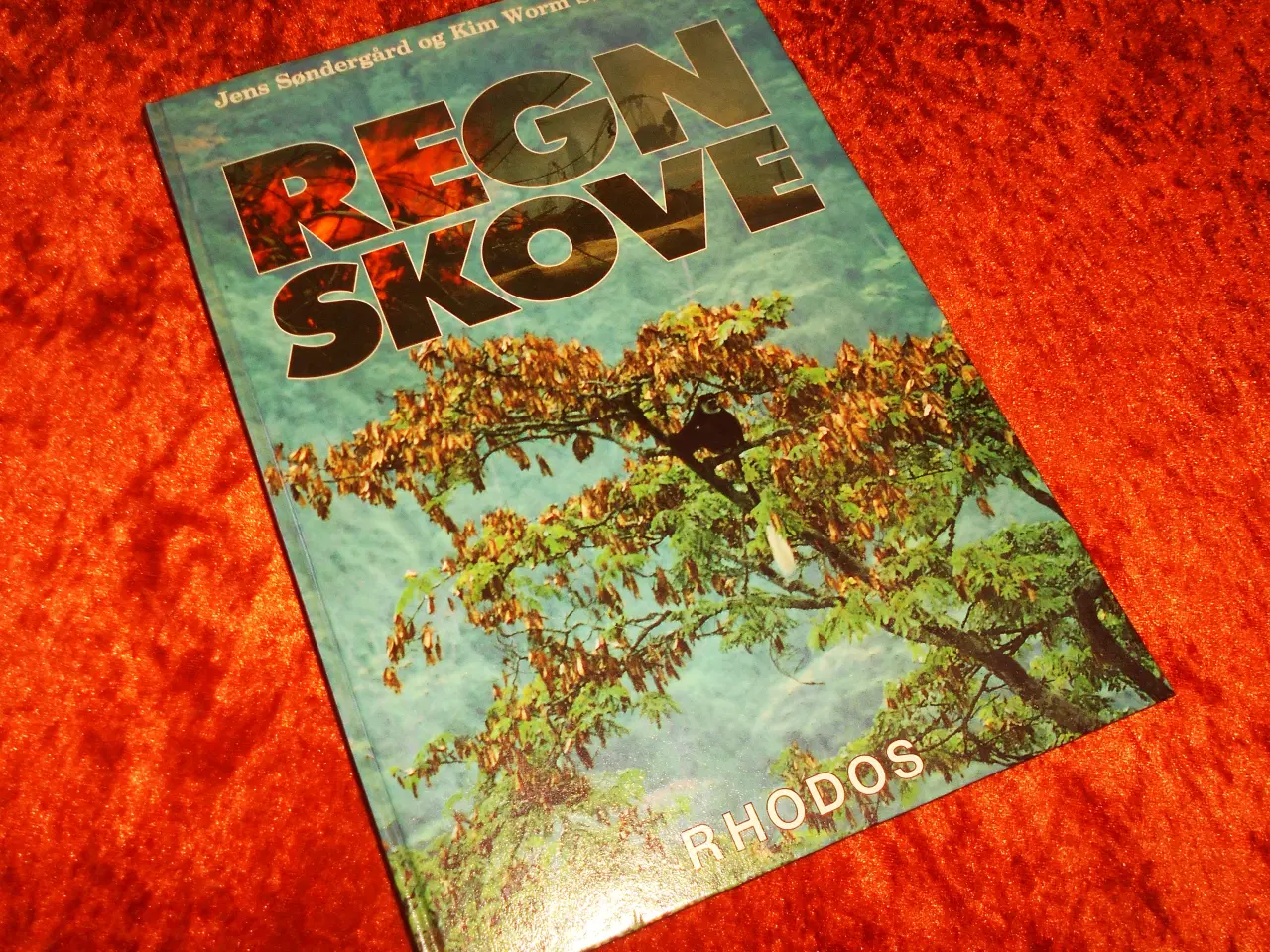 Billede 1 - Regnskove, Jens Søndergård,