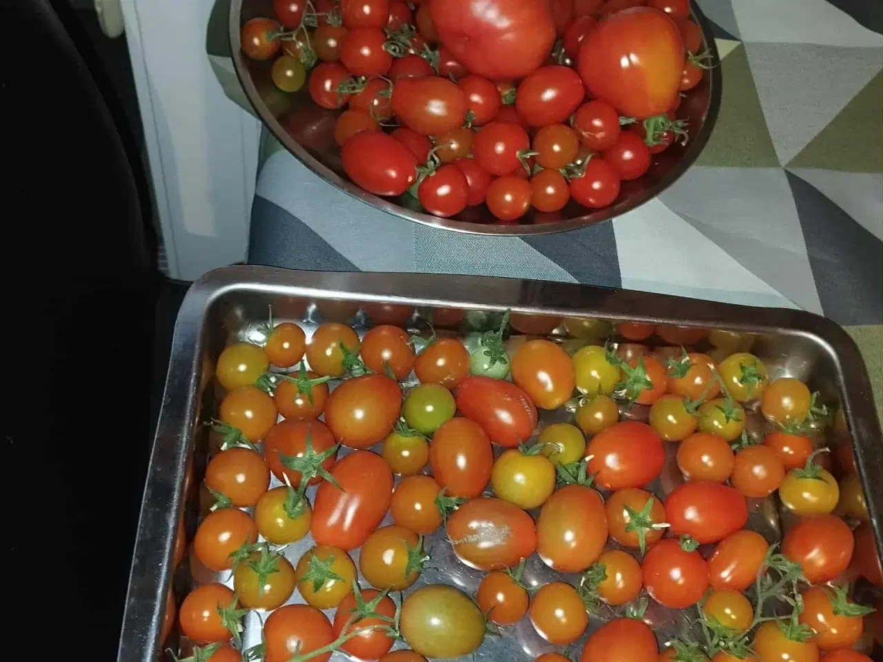 Billede 10 - Tomatplanter blandet sorter 