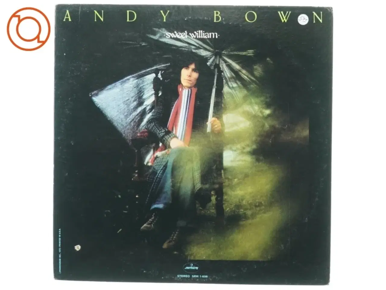 Billede 1 - Andy Bown, sweet william fra Mercury (str. 30 cm)