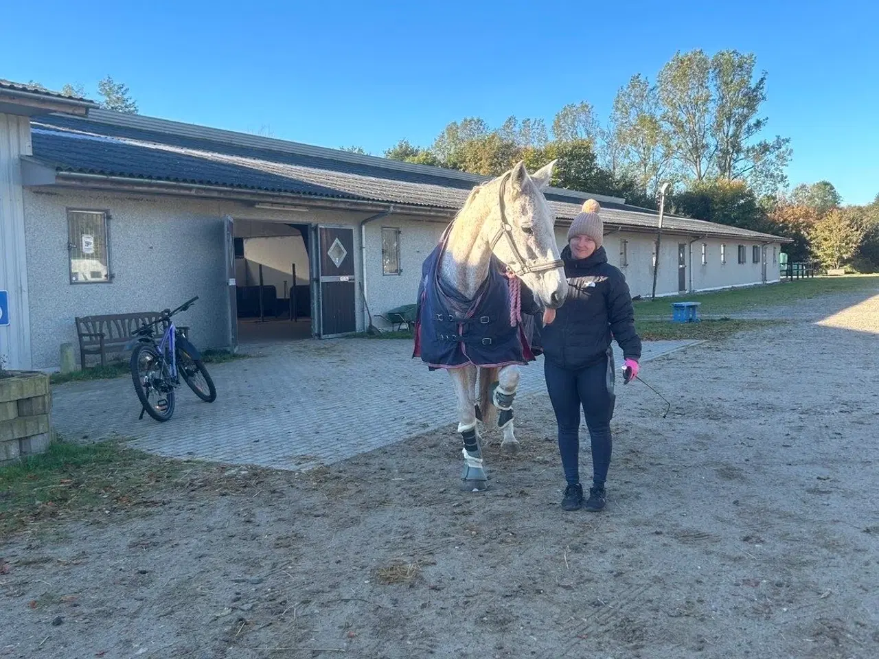 Billede 4 - Verdens bedste Lucy søger nye græsgange 
