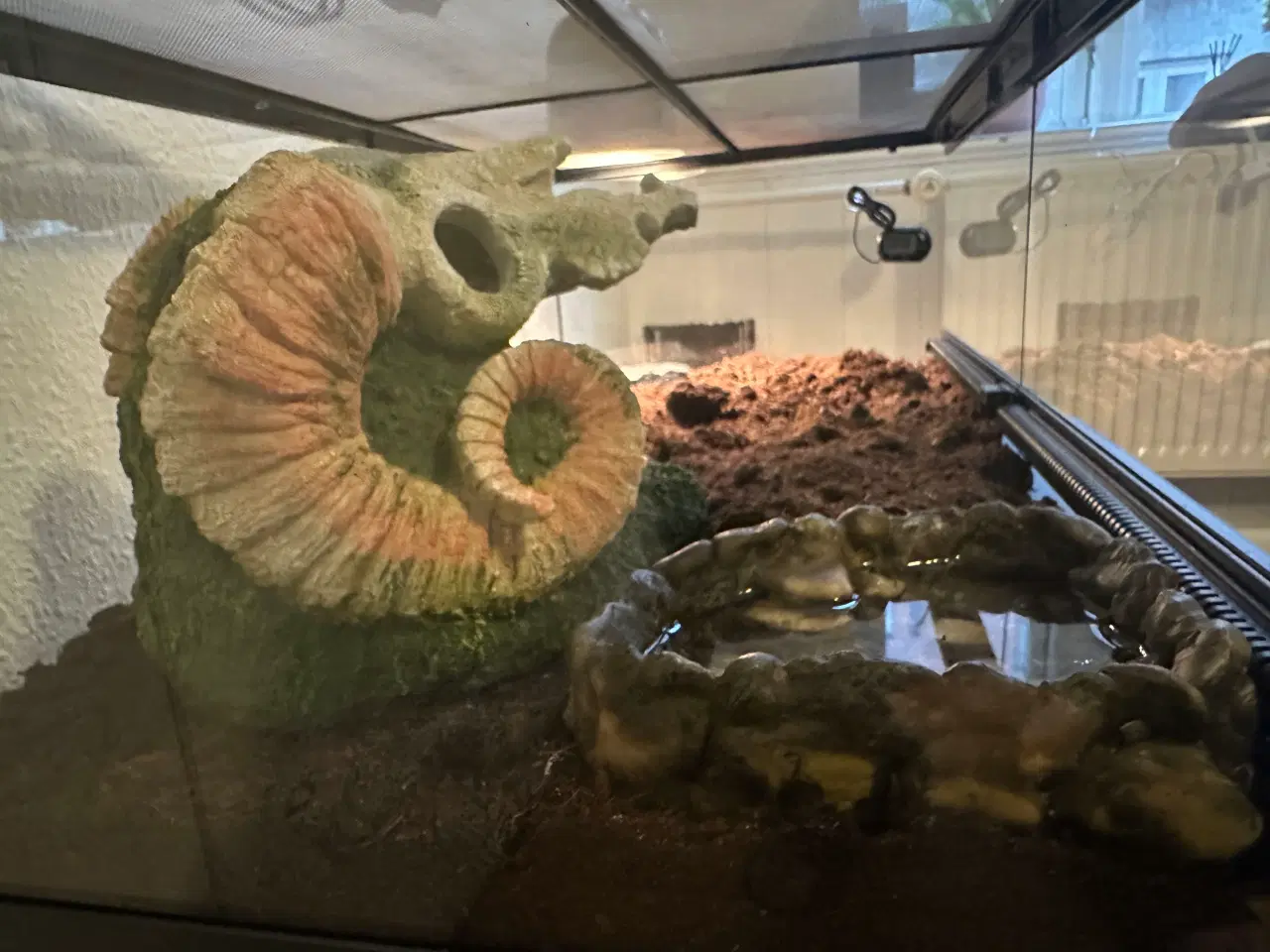 Billede 7 - Spritnyt Kornsnog-setup (Nypris 5000,-)