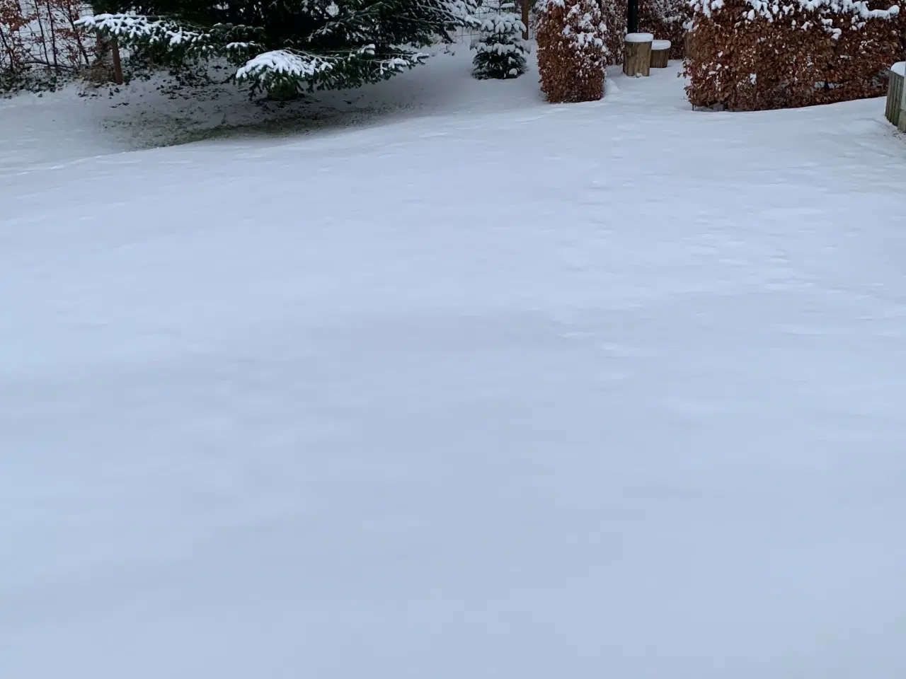 Billede 6 - Villa i Seest søger nye beboere - Kolding