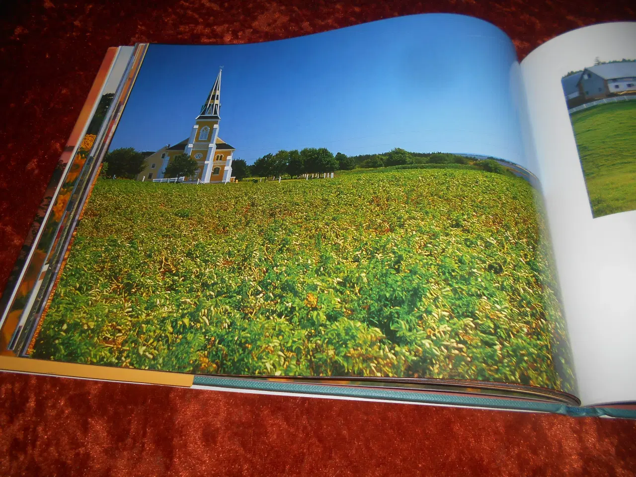 Billede 6 - Prince Edward Island, True Colours, Wayne Barrett