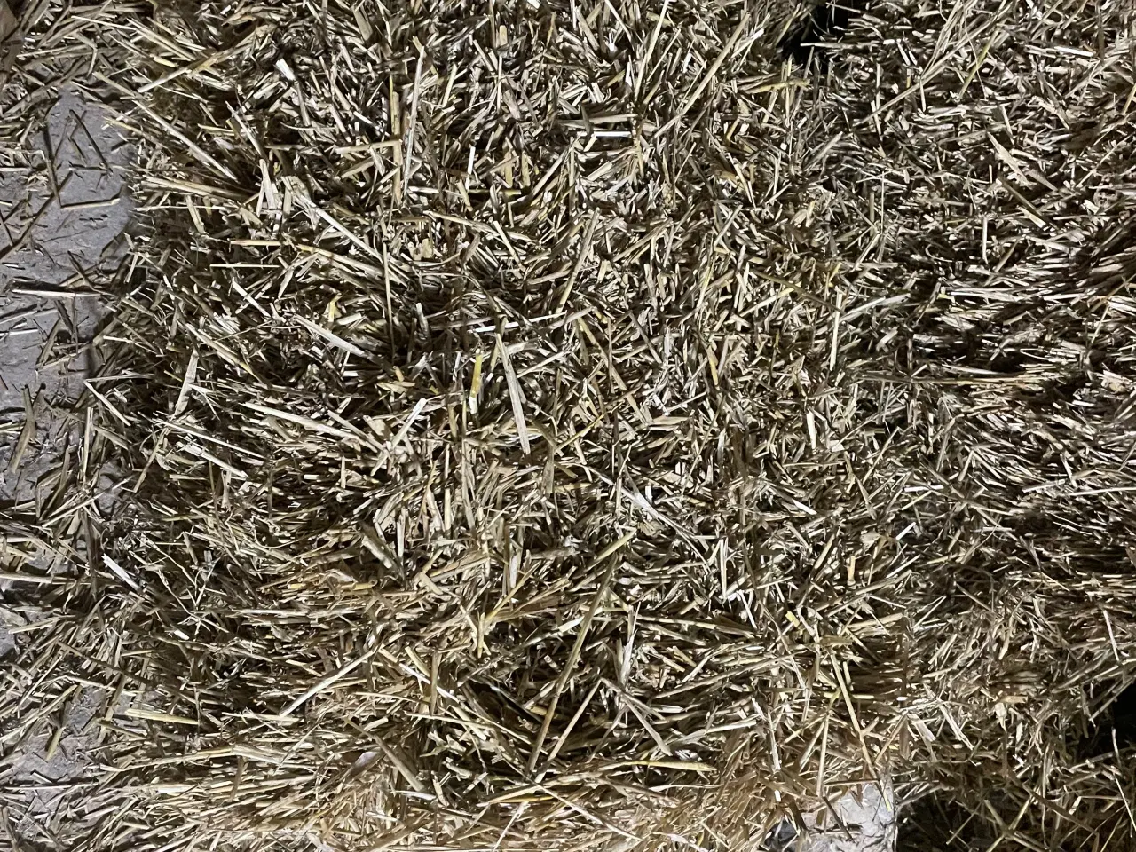 Billede 1 - Morten Koch Balle byg 