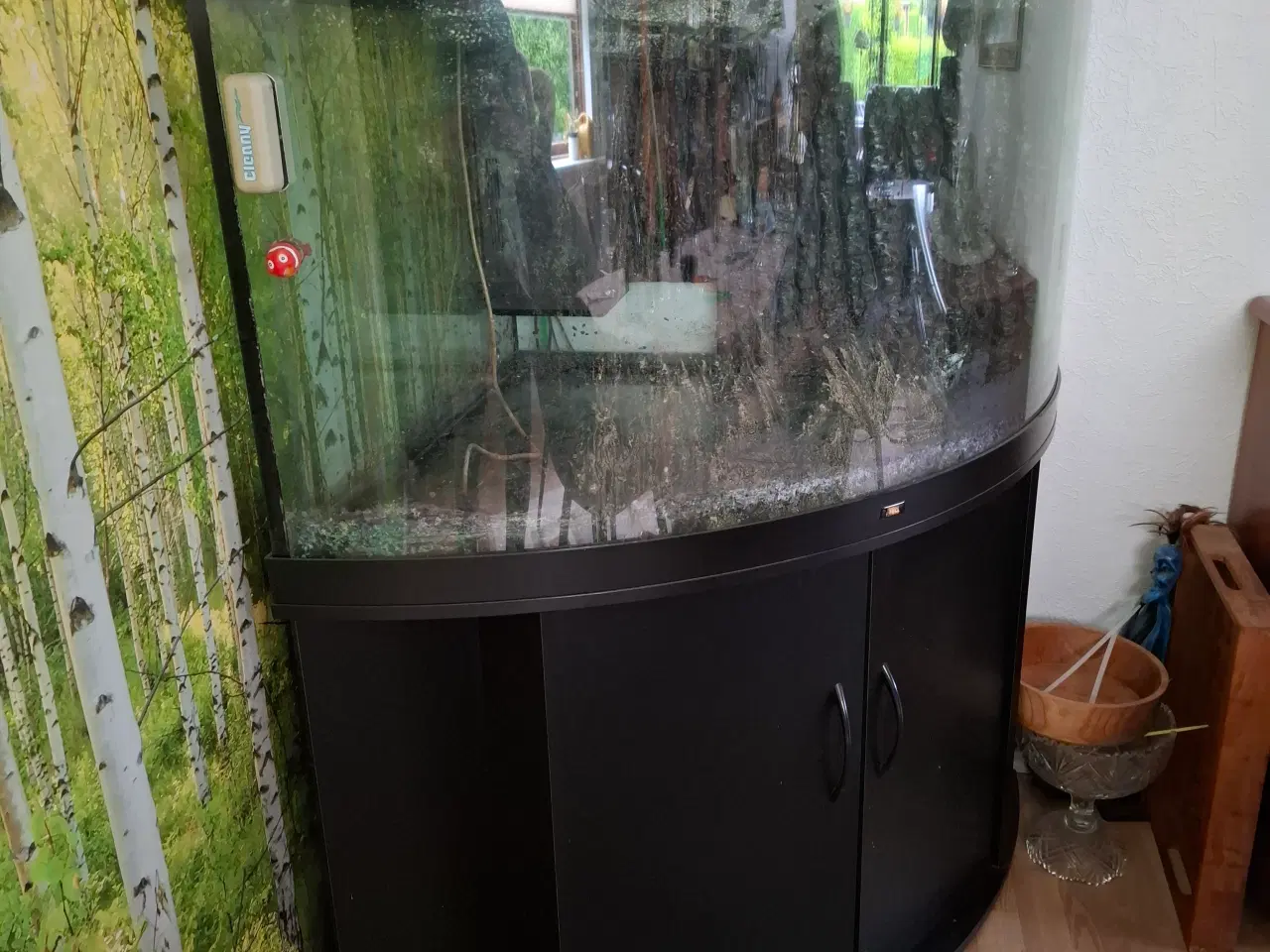 Billede 2 - Akvarie med underskab