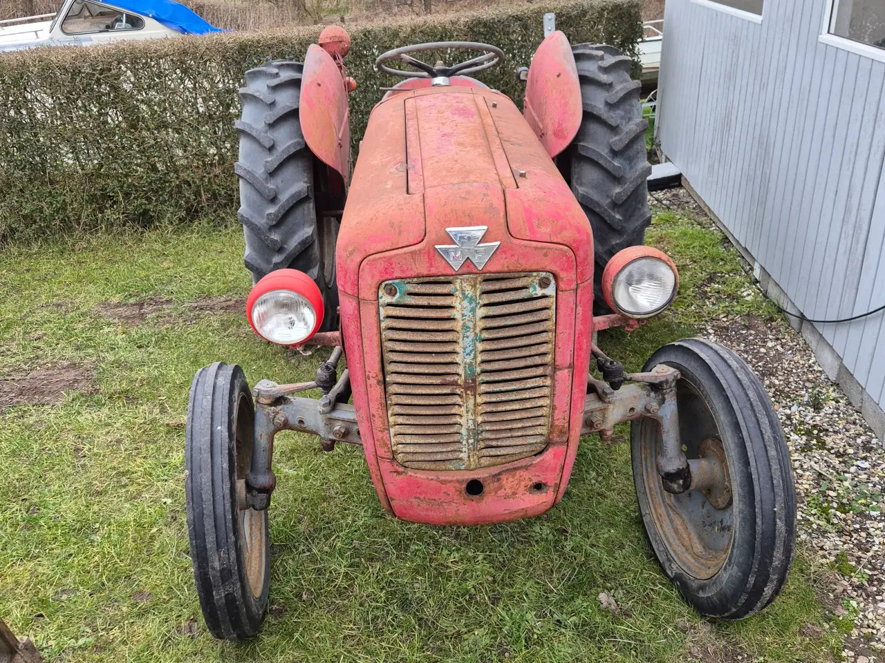 Billede 4 - Massey-Ferguson 