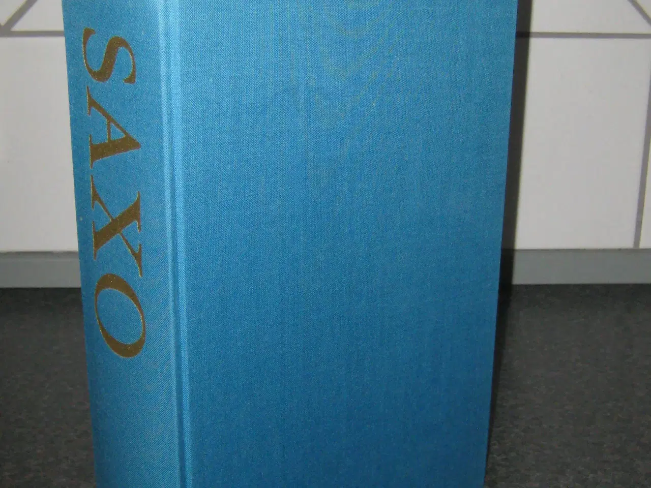 Billede 6 - Saxo Grammaticus