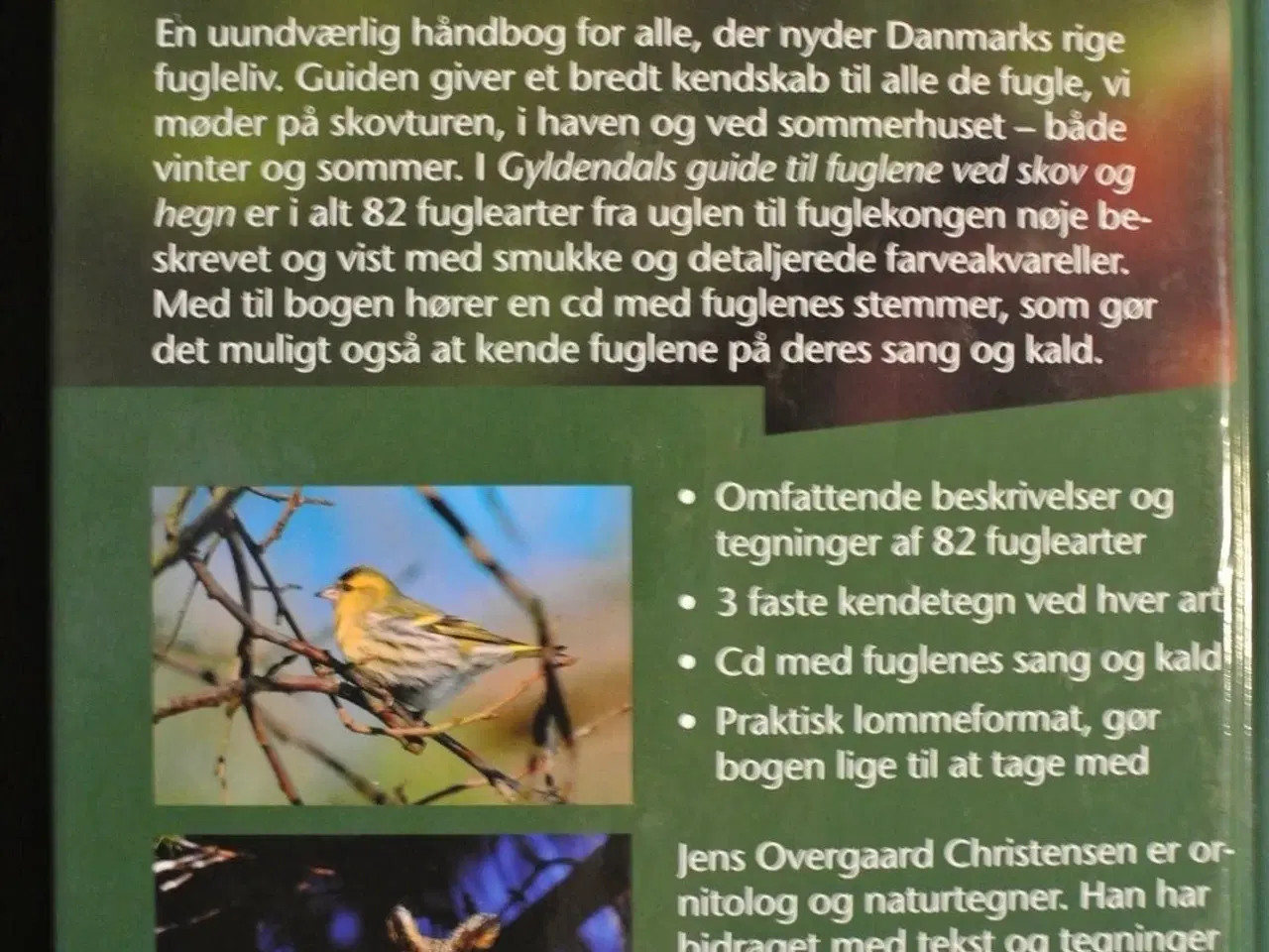 Billede 3 - fuglene ved skov og hegn. med cd, Af jens overgaar