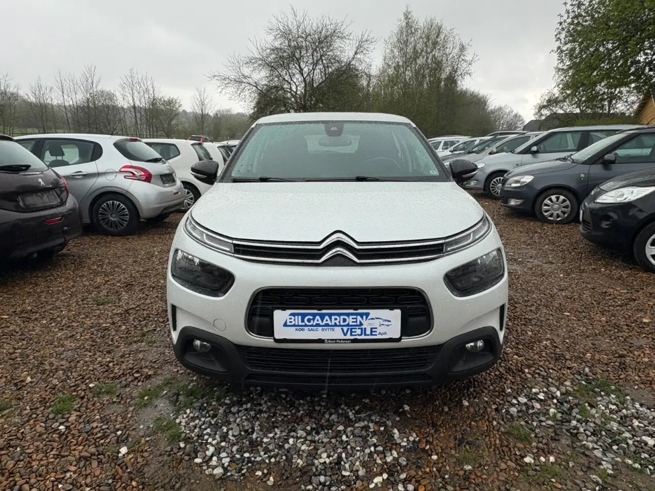 Billede 8 - Citroën C4 Cactus 1,2 PureTech 130 Iconic