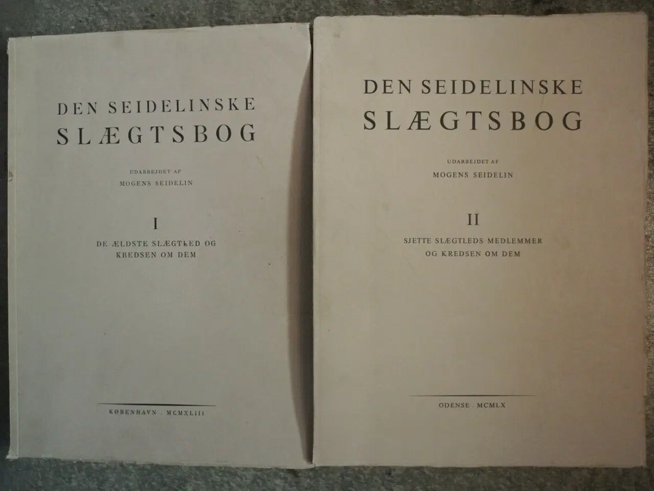 Billede 1 - den seidelinske slægtsbog 1-2, af mogens seidelin,