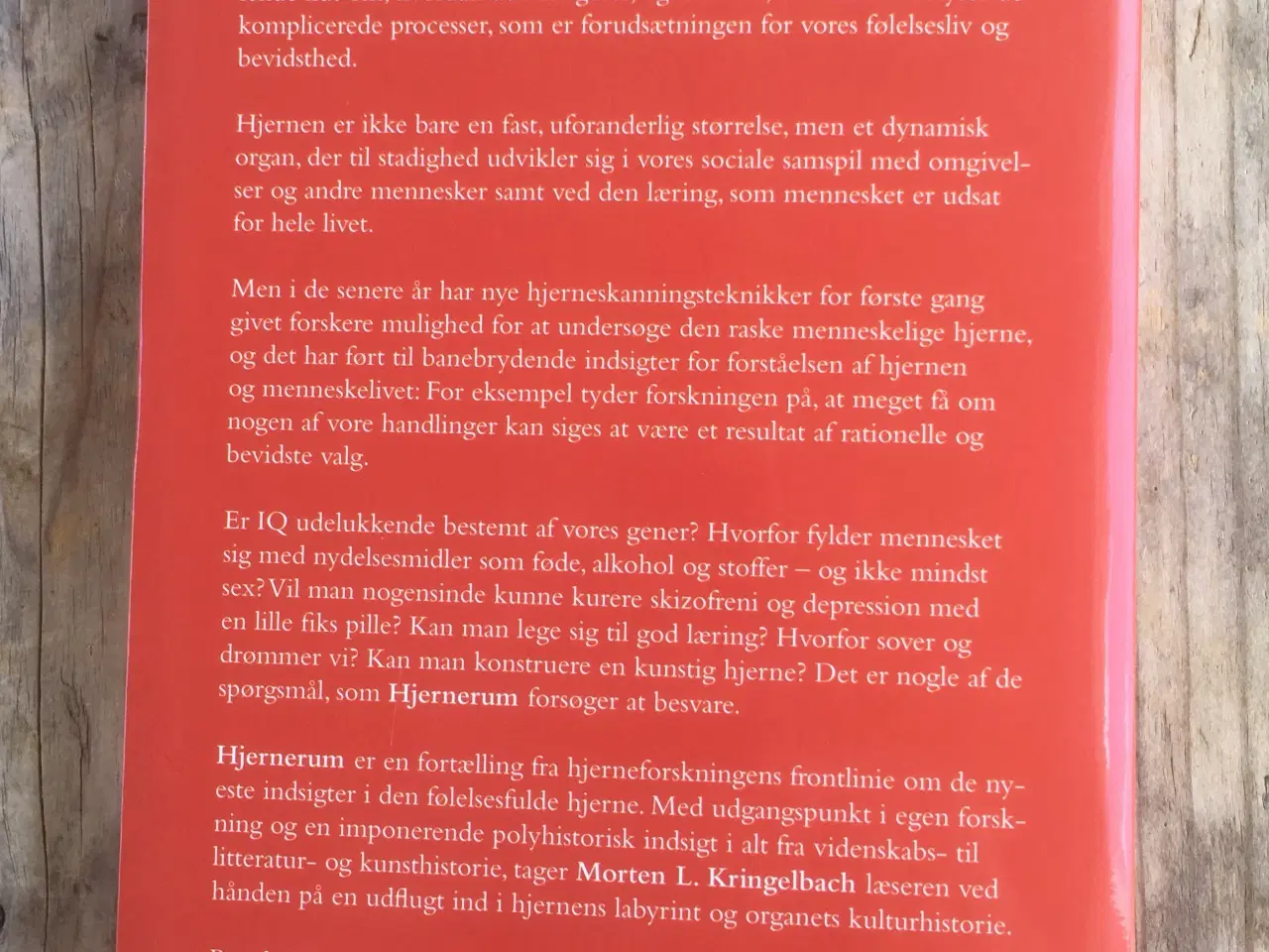 Billede 2 - Hjernerum - den følelsesfulde hjerne