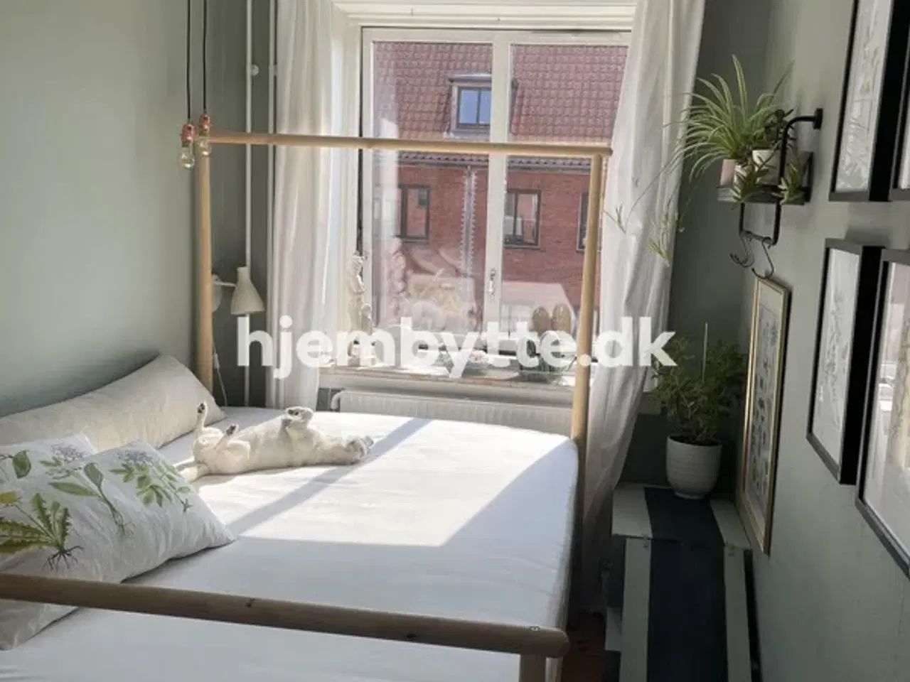 Billede 6 - Hjembytte - Tornskadestien