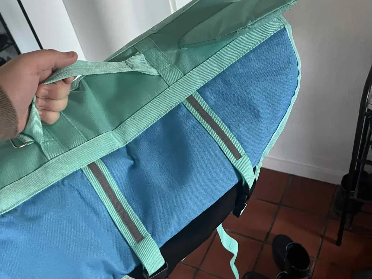 Billede 34 - Hundeting til salg 