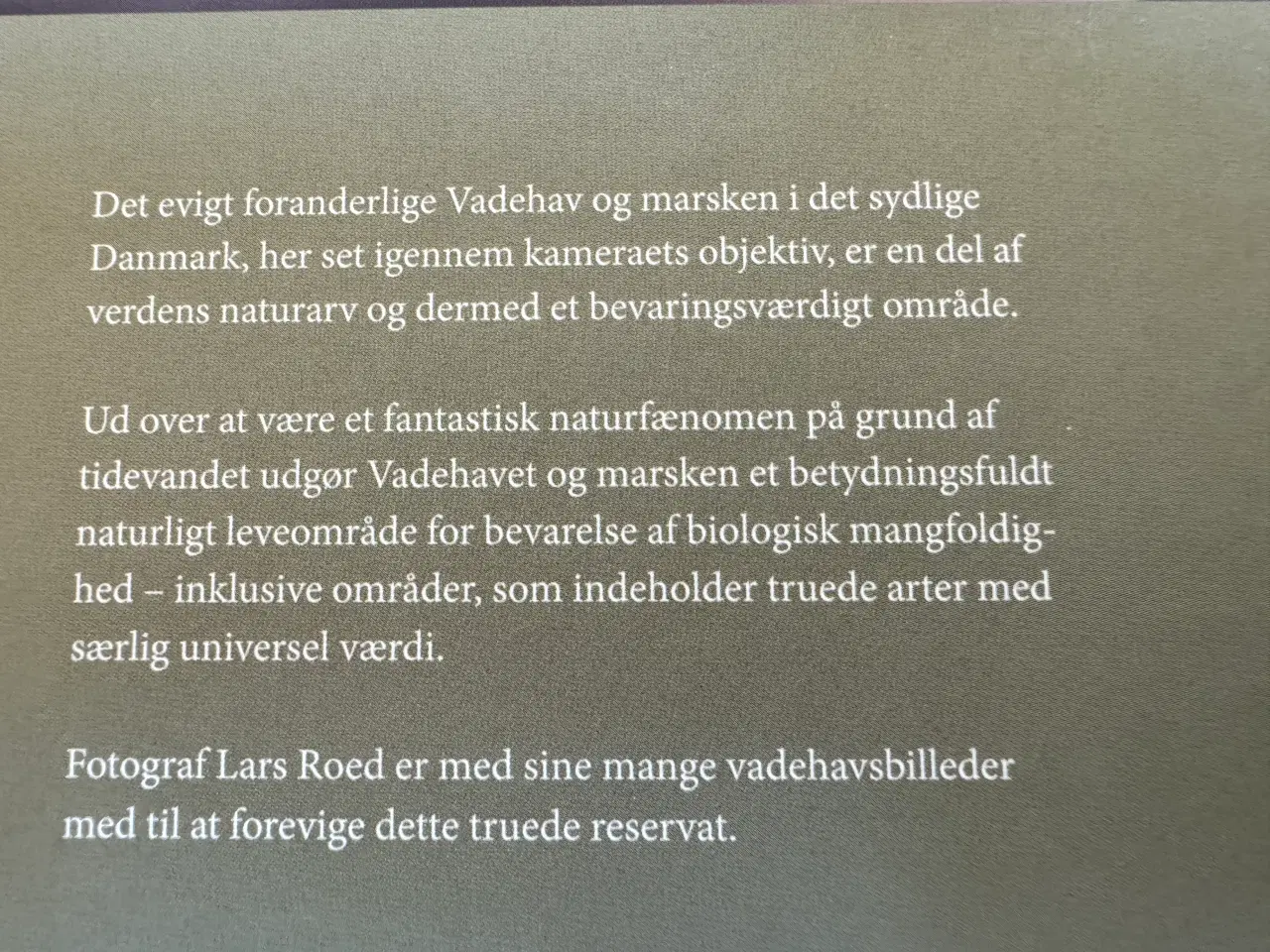 Billede 4 - Fotobog om Vadehavet, af Lars Roed & Sanne Lotus B