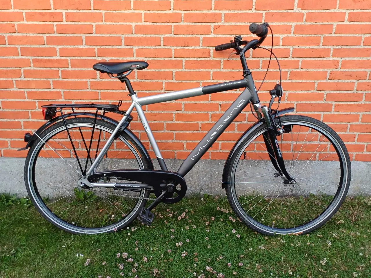 Billede 1 - Mustang Alloy 