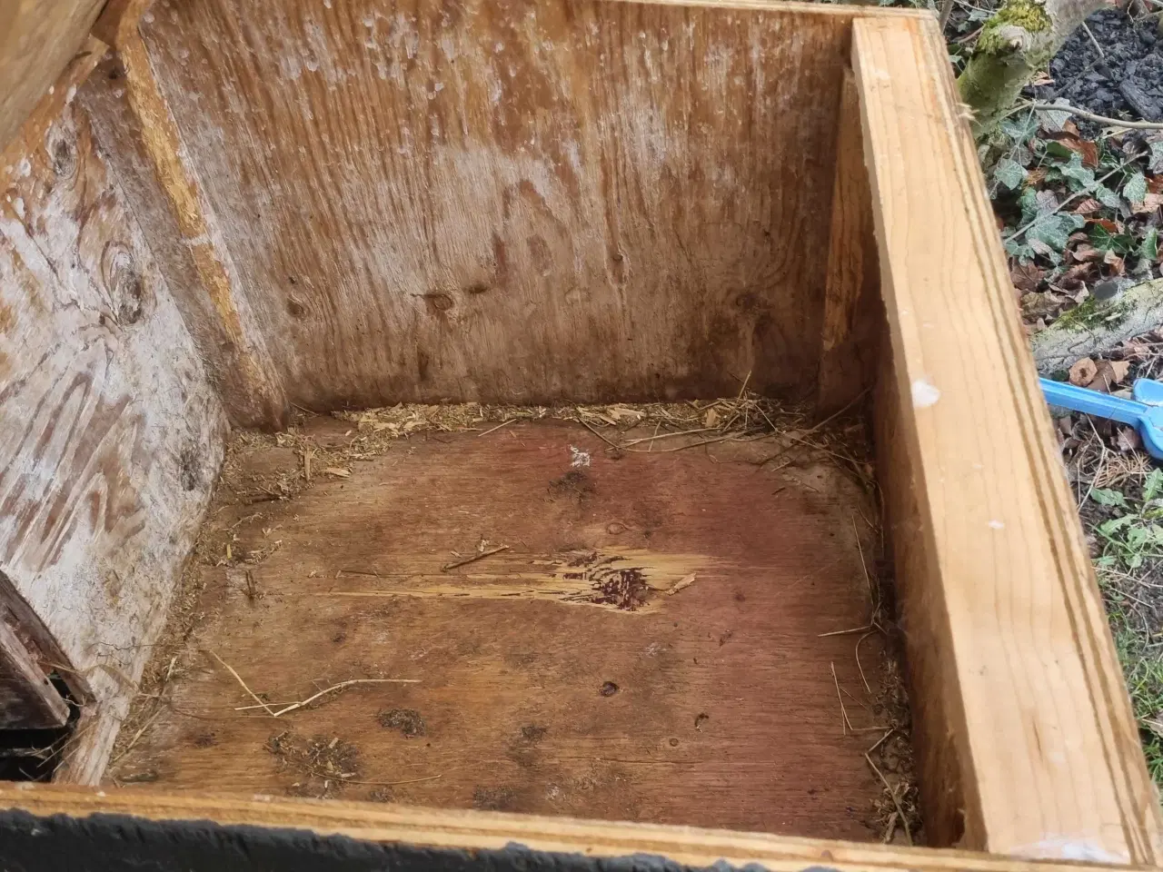 Billede 2 - Udebur + kanin – kun 200 kr