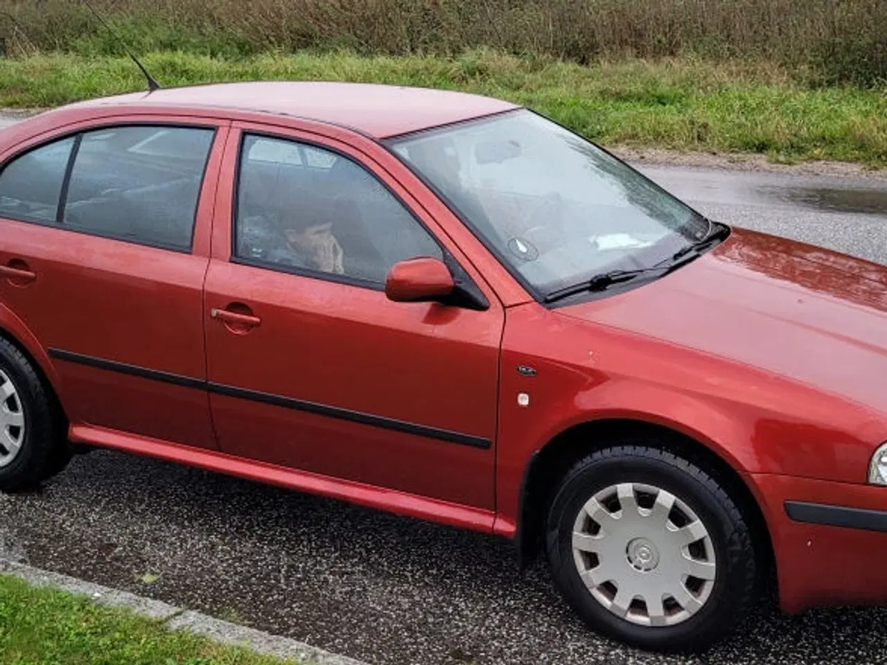 Billede 2 - Skoda Octavia 1.6i 5dørs, Nyynet 13.10.2025, flot