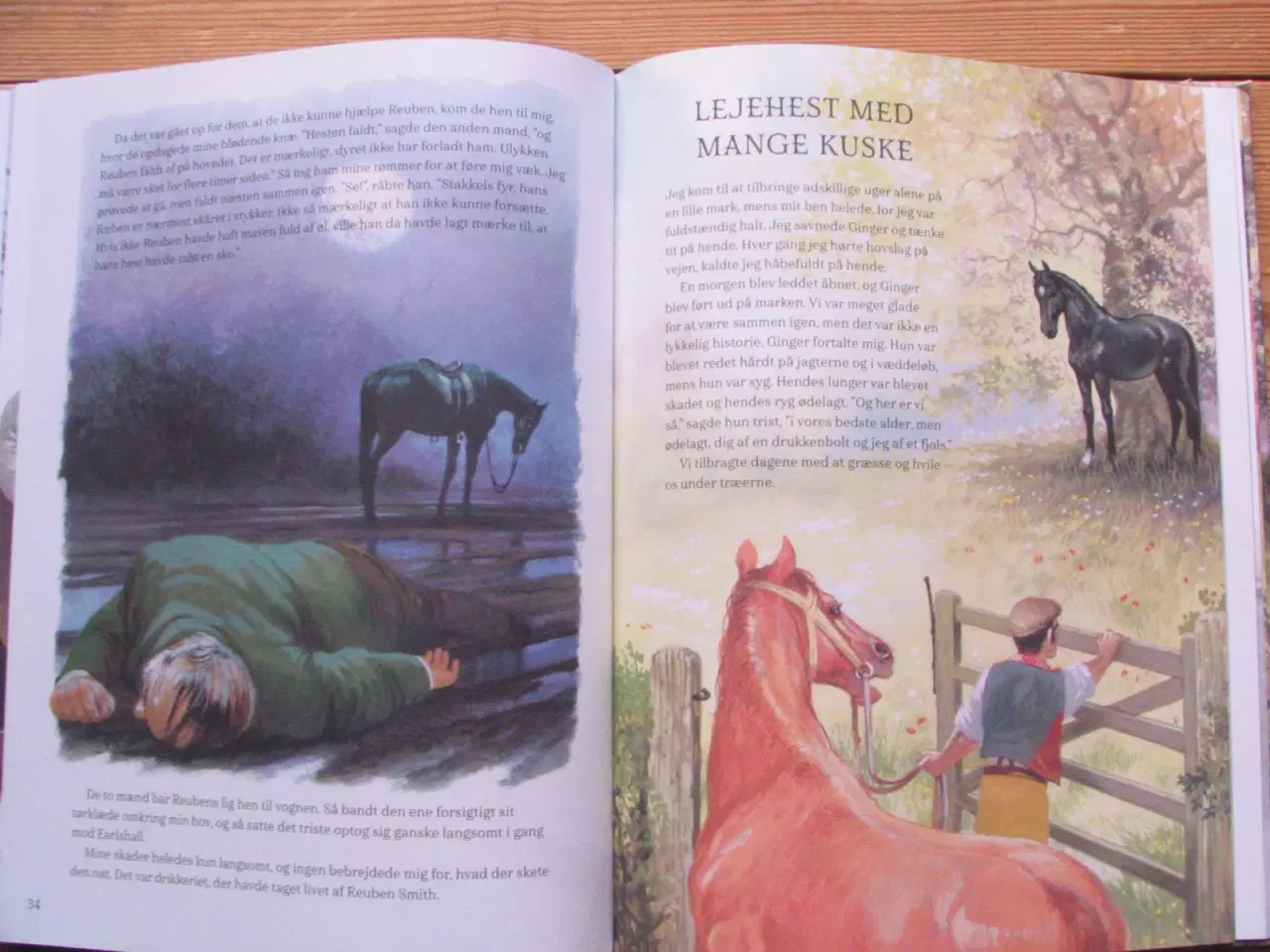 Billede 5 - Black Beauty-Den sorte Hingst