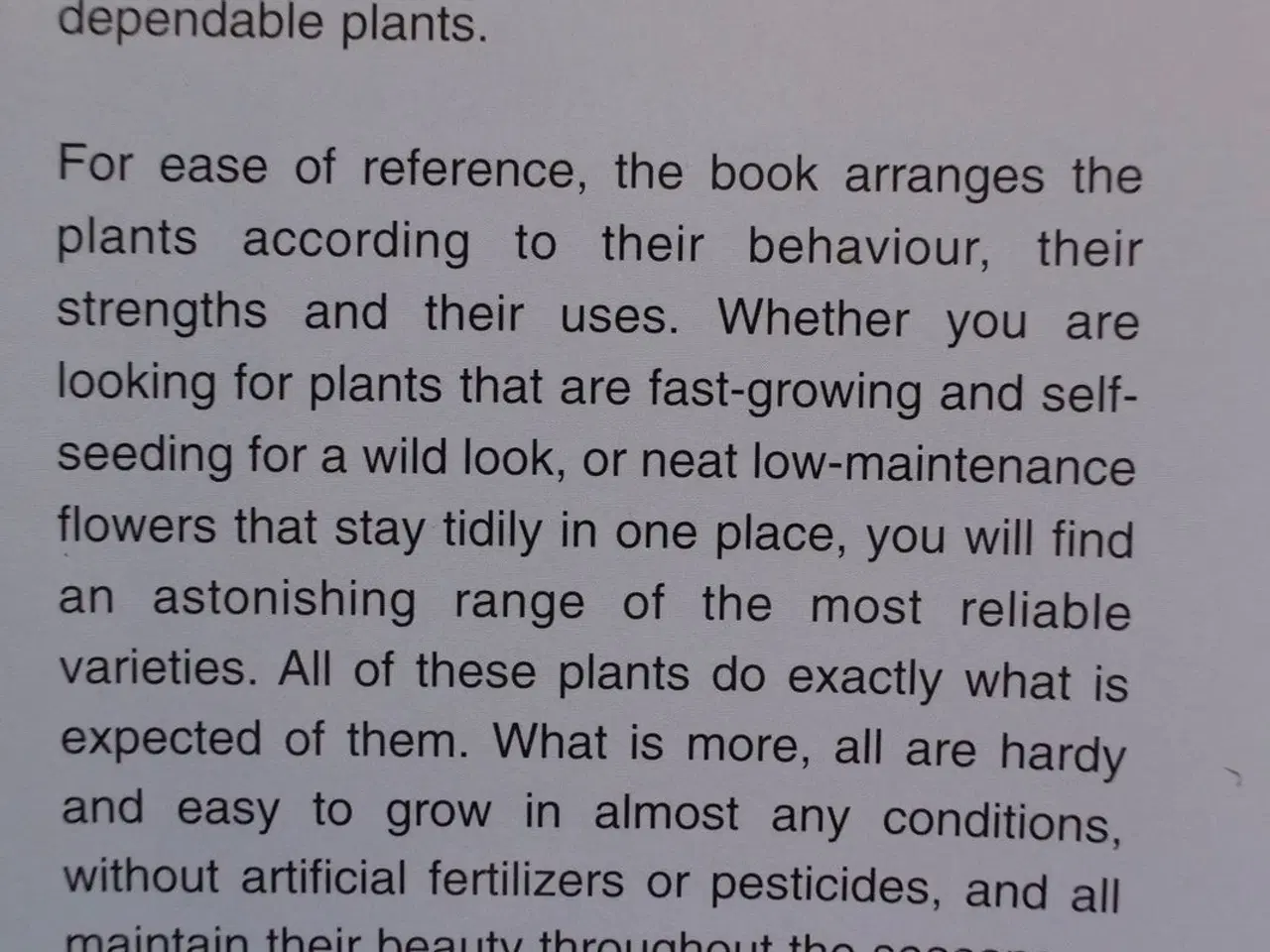Billede 3 - dream plants for the natural garden, by henk gerri