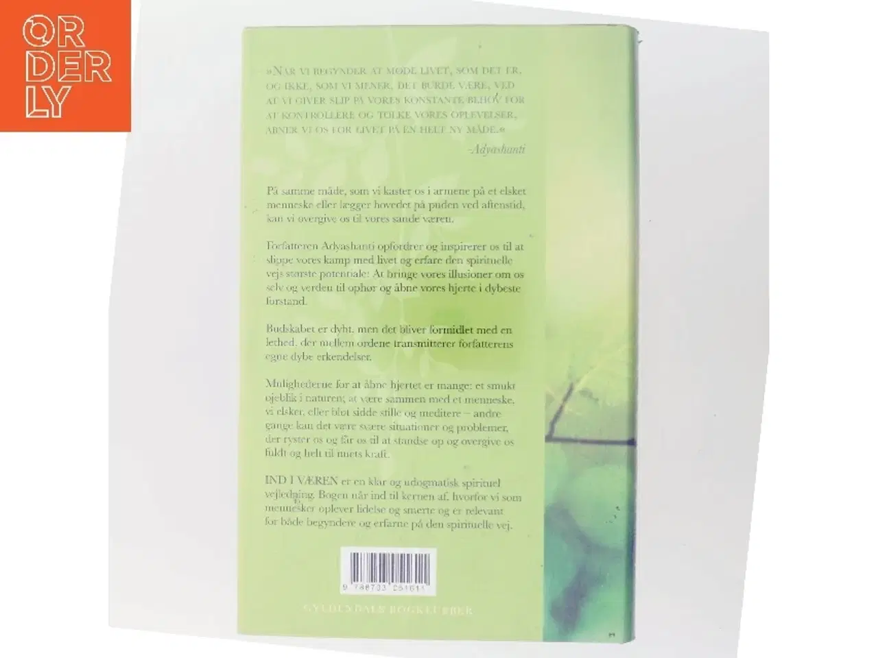 Billede 3 - Ind i væren : overgiv dig til din sande natur af Adyashanti (Bog)