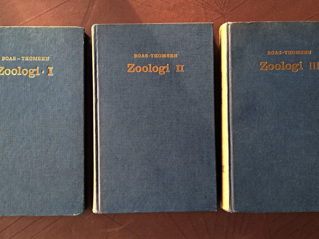 Billede 1 - Boas & Thomsen: Zoologi, vol. 1, 2 og 3