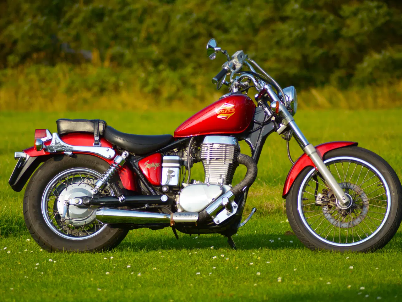 Billede 1 - Suzuki Savage LS 650