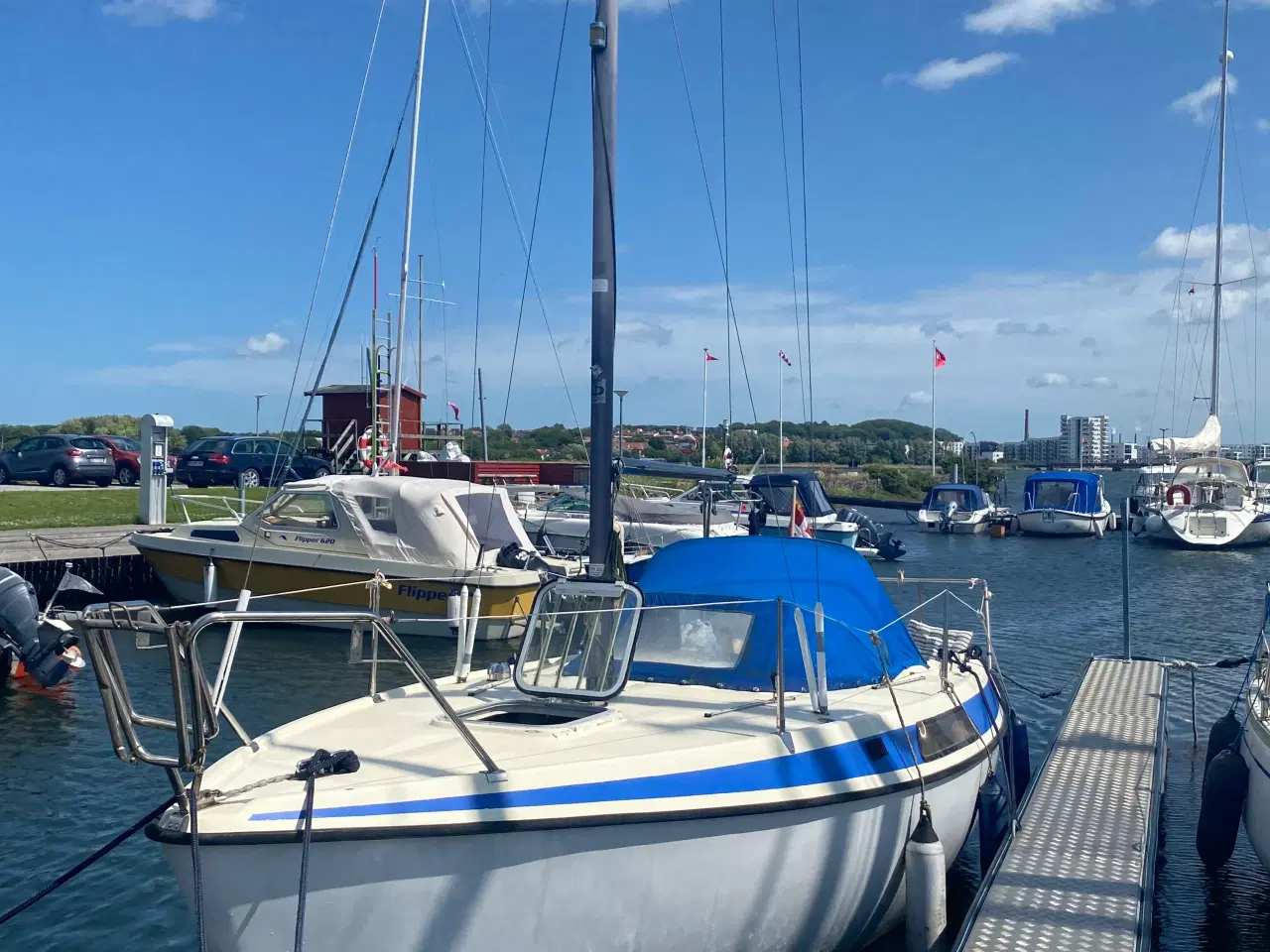 Billede 6 - Sejl båd med havneplads i Aalborg 